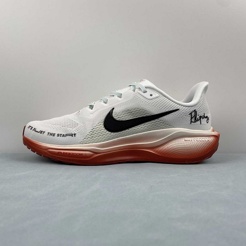 J  NIKE Air Zoom Pegasus 41 41 HJ7037-100  39-46